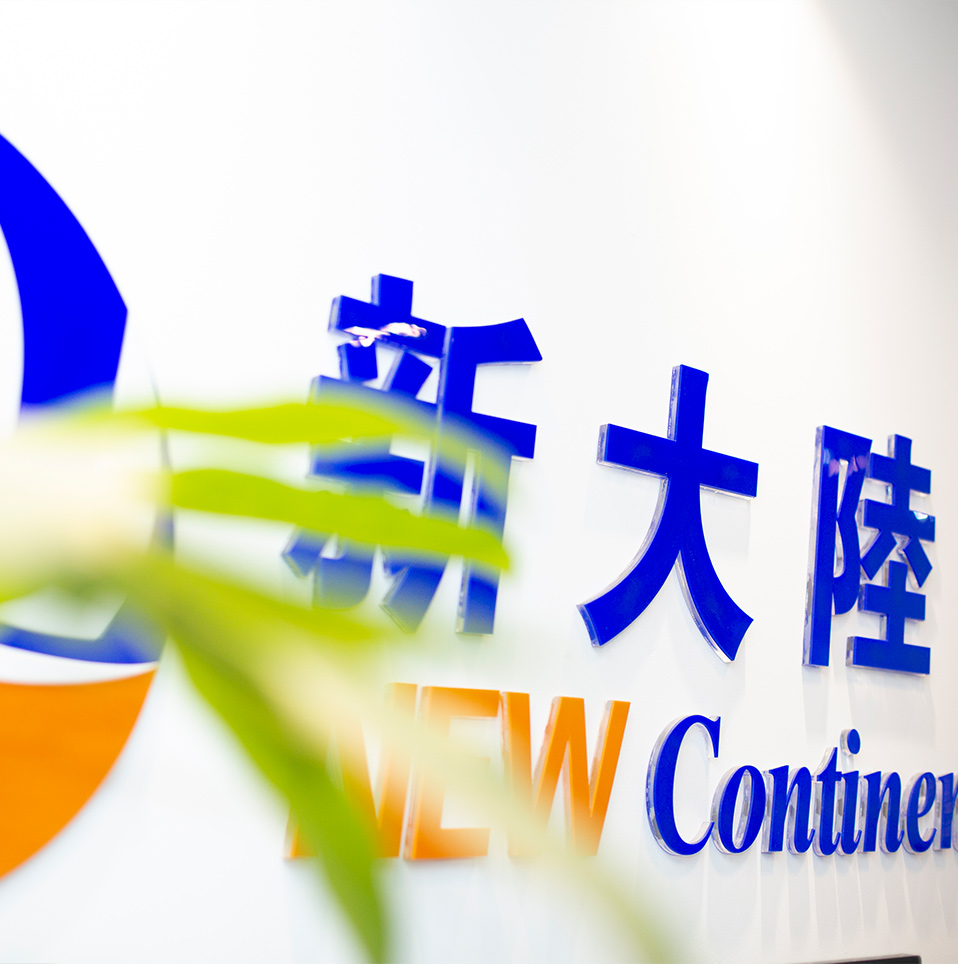 专业的项目管理团队